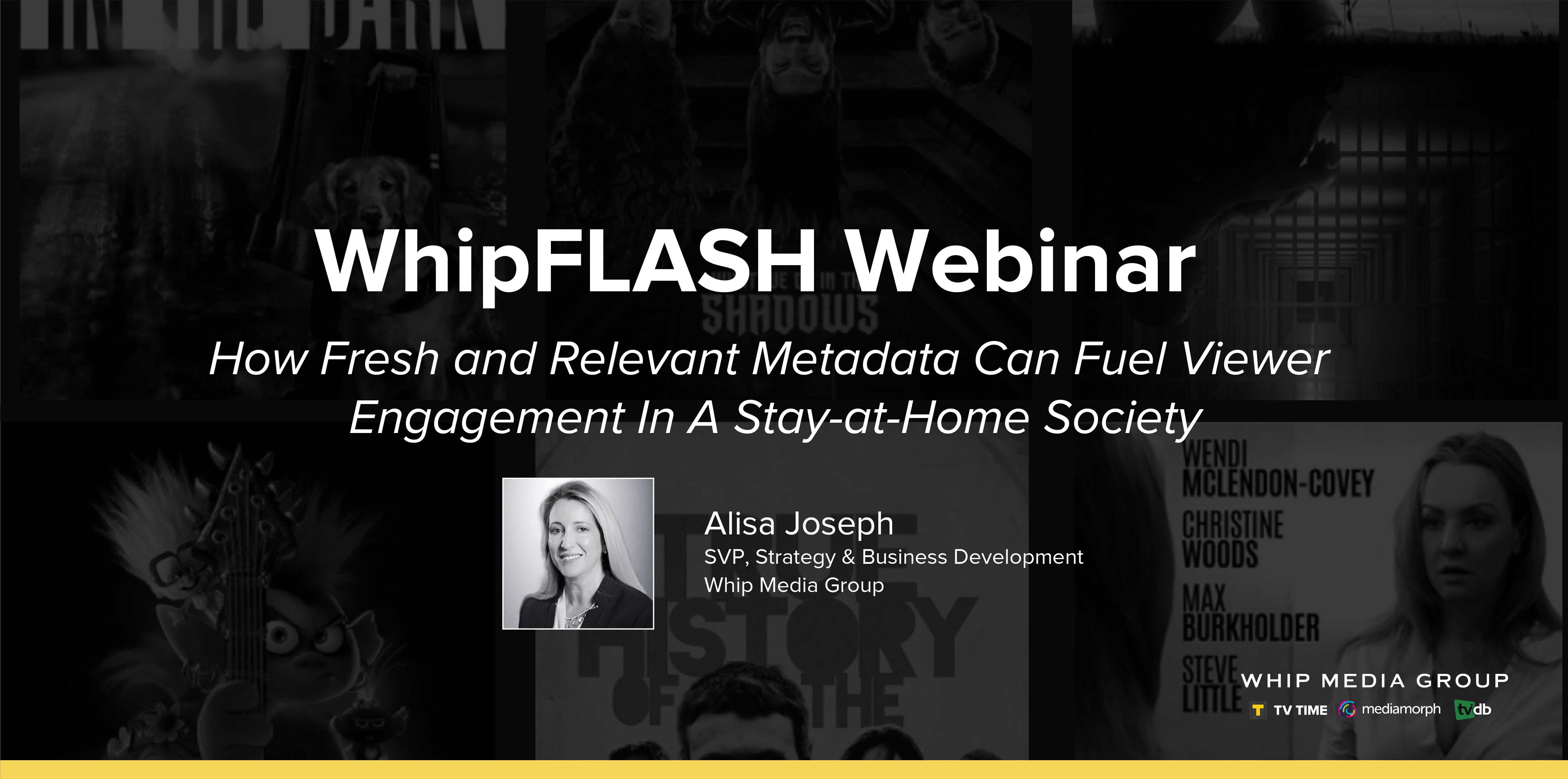 Remote shot of a professional woman mid-presentation for WhipMEDIA digital marketing and media analysis SEO enhancement.