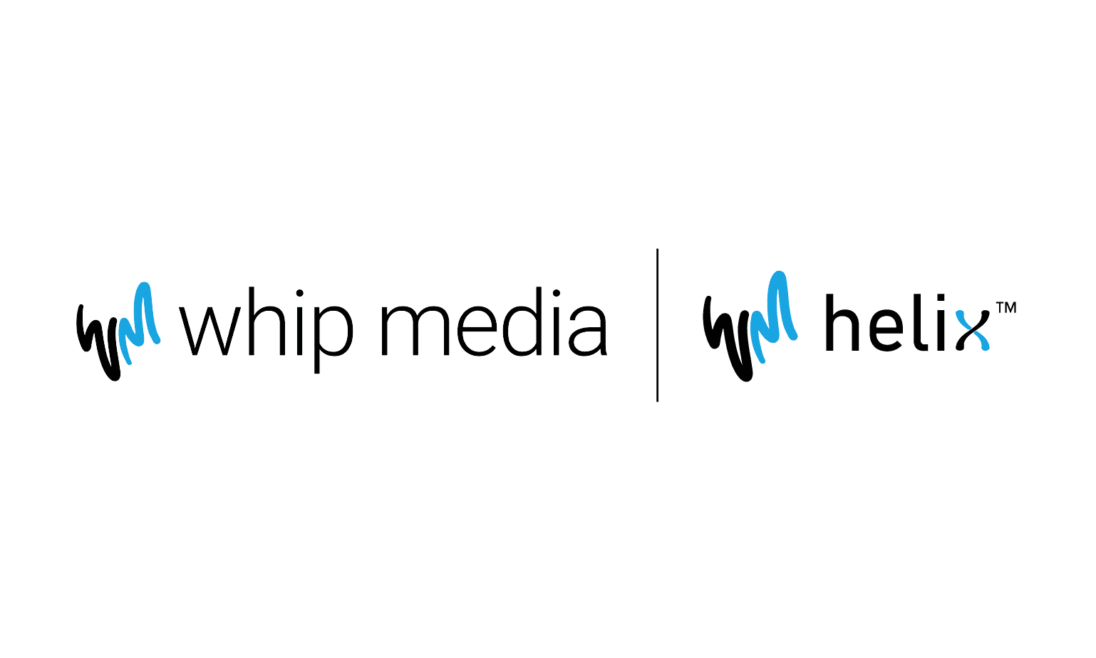 Whip Media Helix logo featuring black and blue stylized "W" icon, representing media data solutions for entertainment industry.